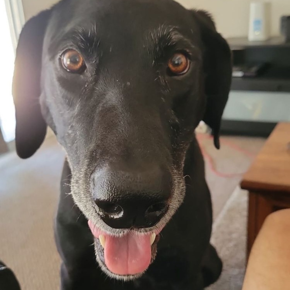 Meet your Posher, Karen